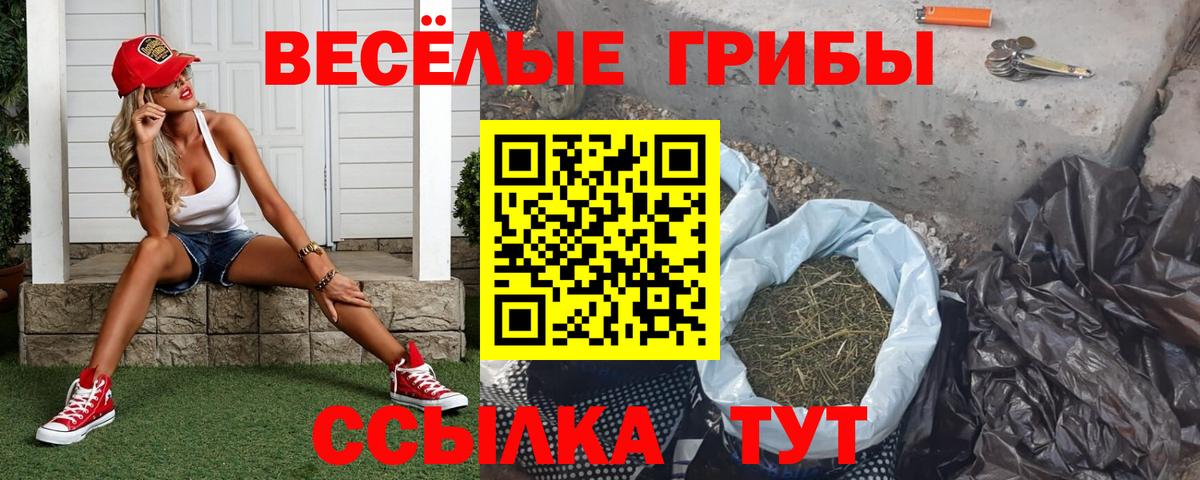 Петропавловск-Камчатский  Галлюциногенные грибы MAGIC MUSHROOMS  Вход с VPN 